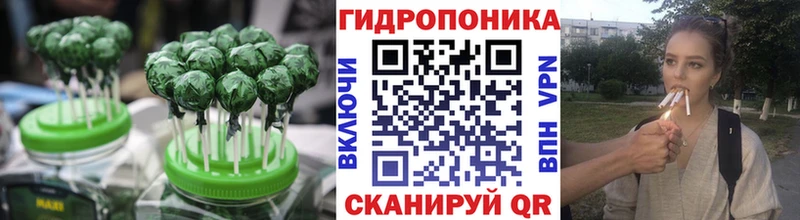 Cannafood конопля Купить где Куртамыш