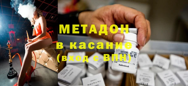 прущие грибы Михайловск