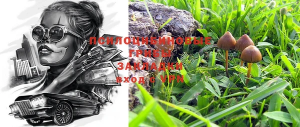 стафф Михайловка