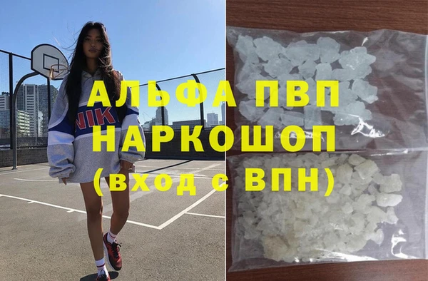 прущие грибы Михайловск