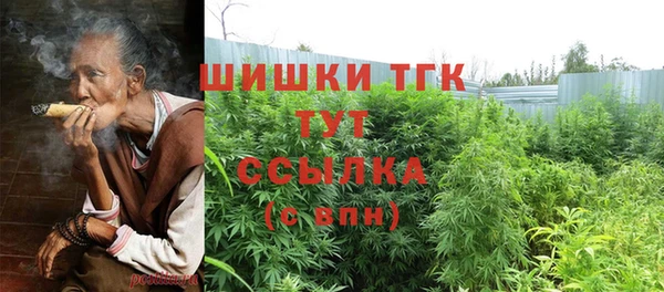 прущие грибы Михайловск