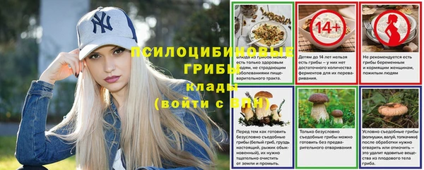 экстази Михайлов