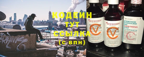 прущие грибы Михайловск